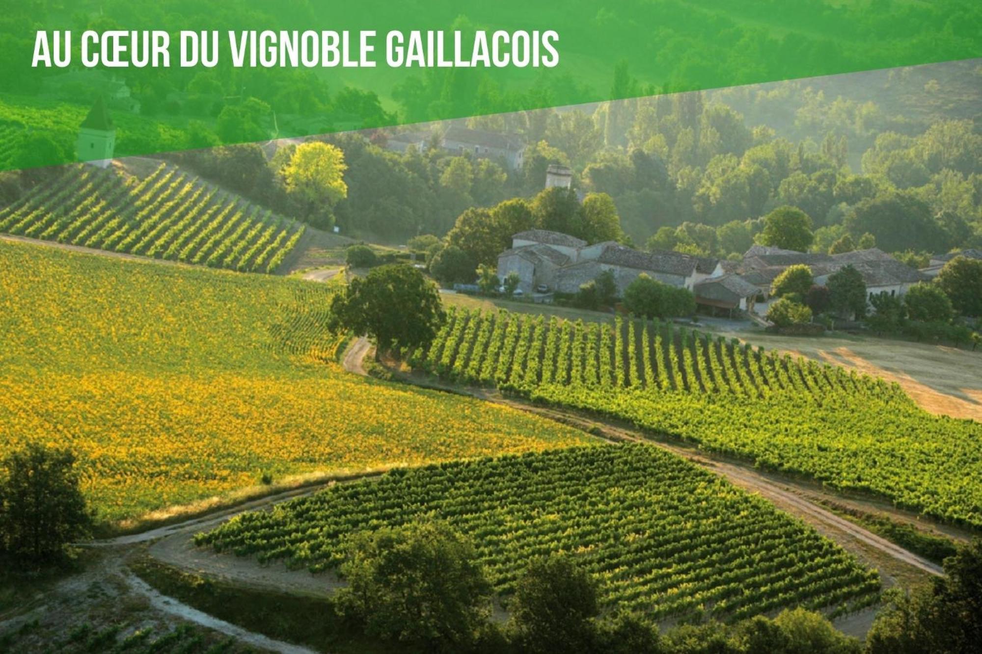 Le Cottage Nature Vigne Rouge Sauna Gaillac Entre Albi-Toulouse & Les Cottages Du Tarn Brens  Luaran gambar